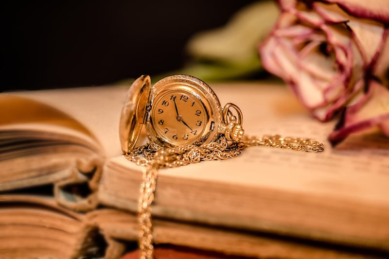 Time-Traveler Chronicles